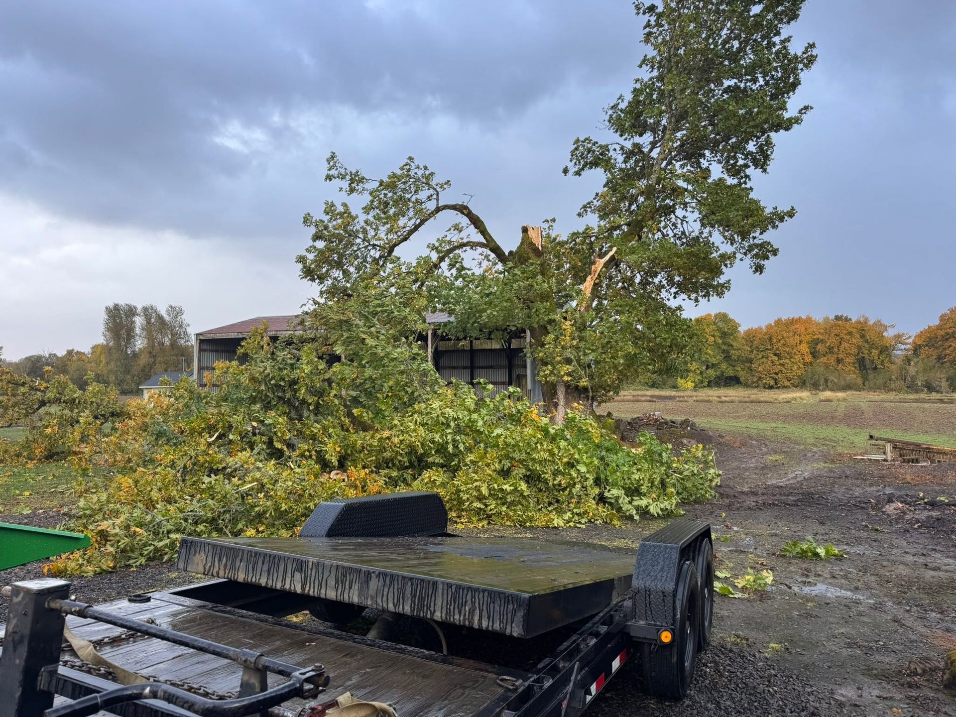 CM Hauling & Land Clearing (3)