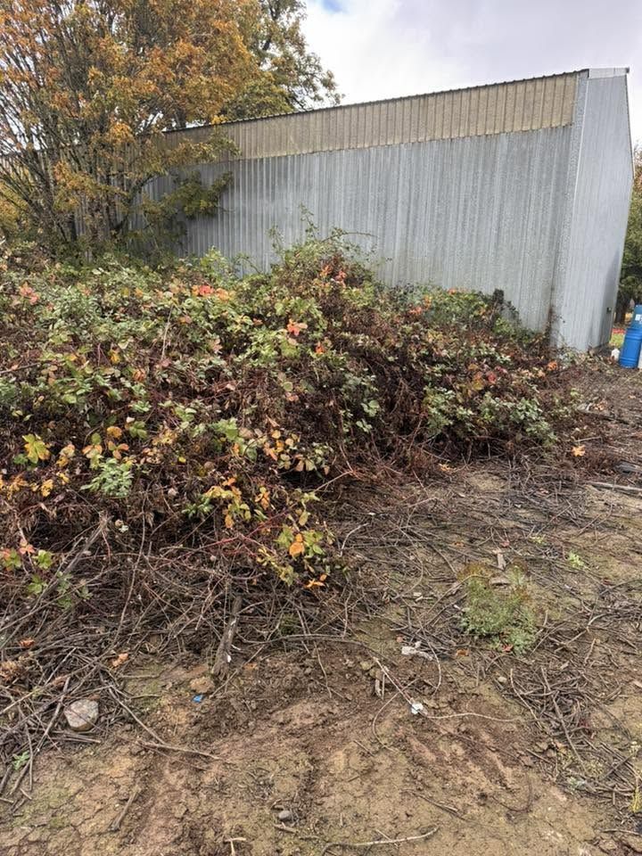 CM Hauling & Land Clearing (23)