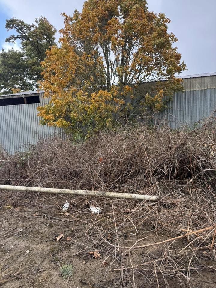 CM Hauling & Land Clearing (22)